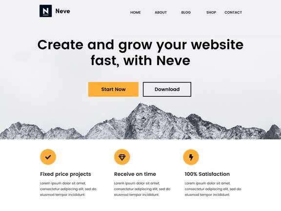 Neve Theme