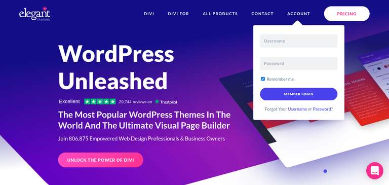 divi elegant themes banner