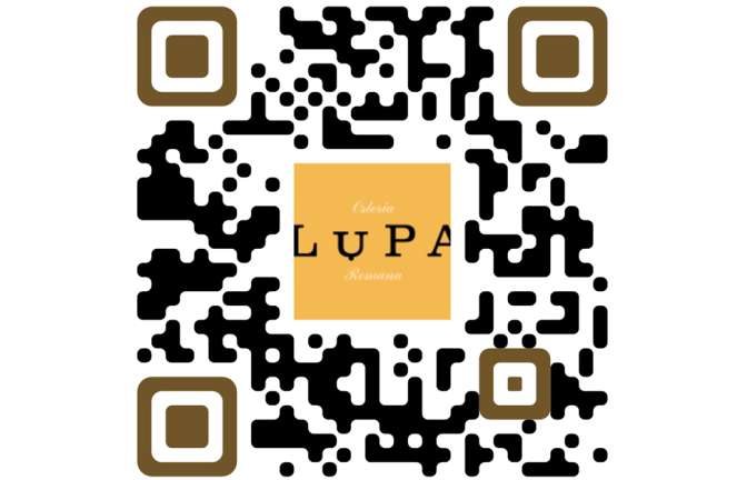 Test The QR Code