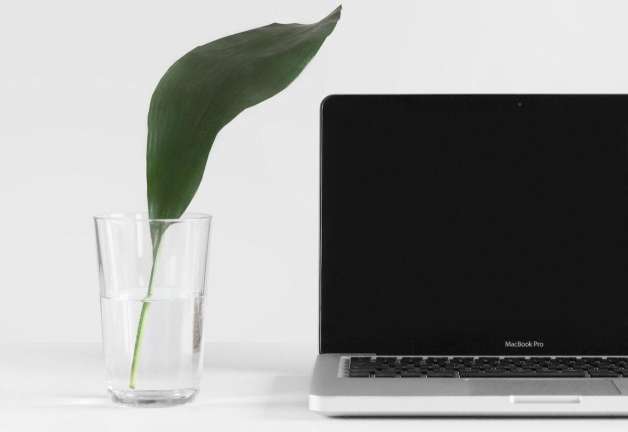 Keep the Design Simple