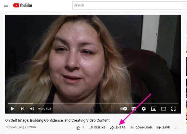 How to Embed a YouTube Video in WordPress 1