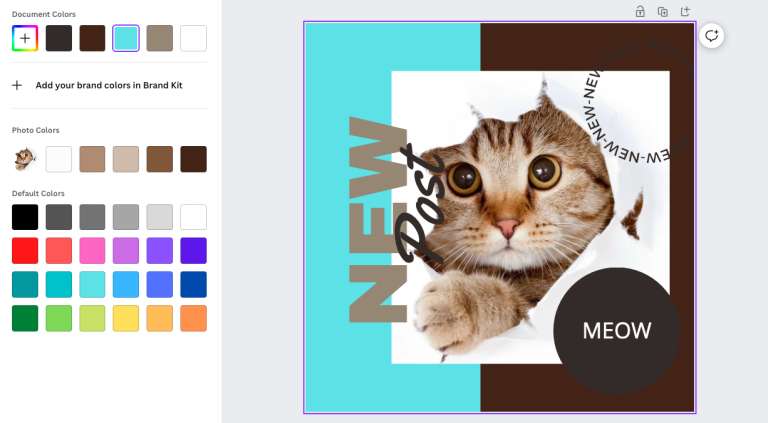 changing colors on canva