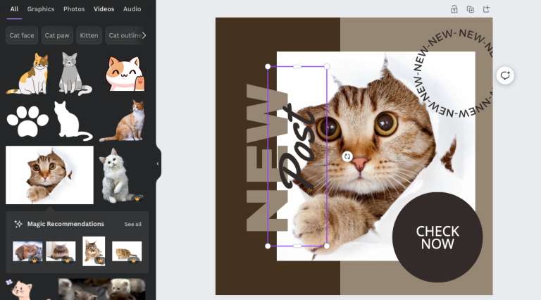 changing the template photo