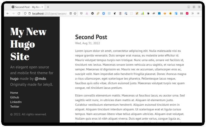 Viewing A post in Hugo