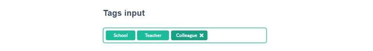 tags input field