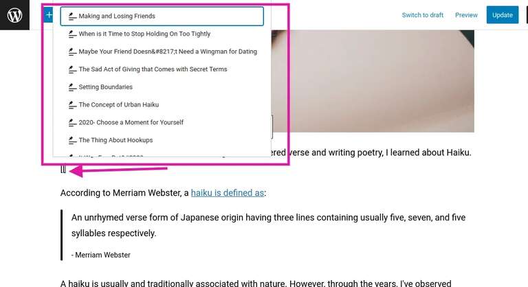 Double open brackets in wordpress