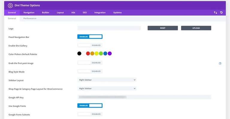 Divi Theme Options