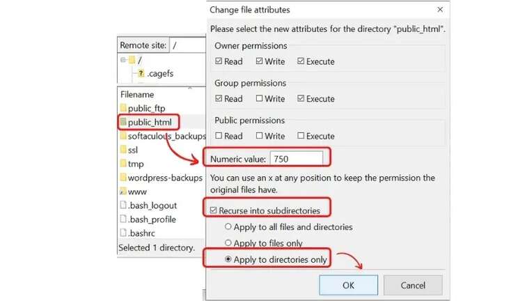 file permission folder setting
