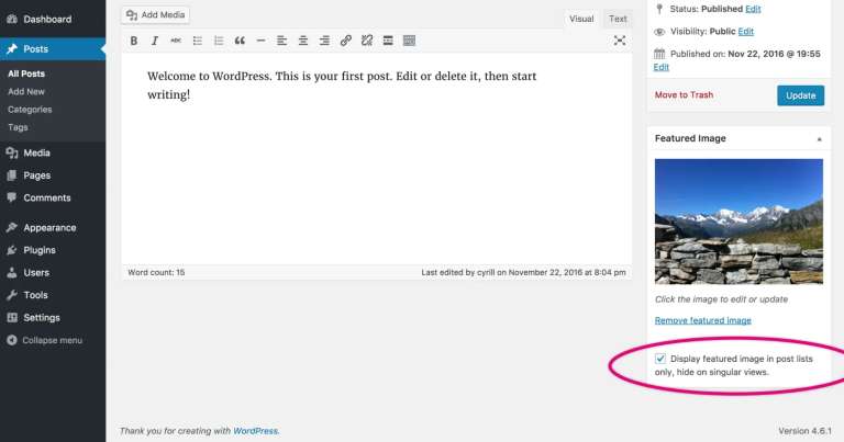 hide featured image in wordpress