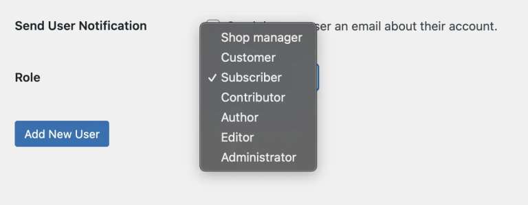 setting a role to user
