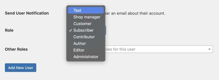 Adding new user options
