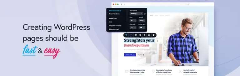 Brizy Plugin