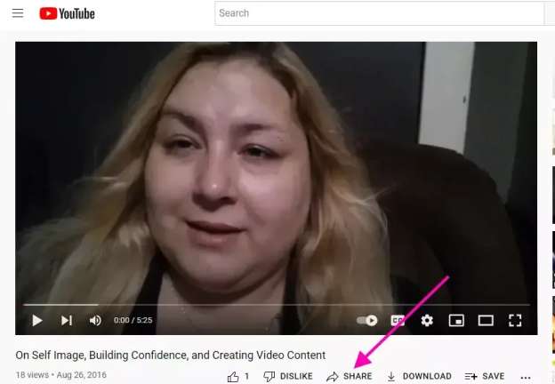 Finding the YouTube video URL