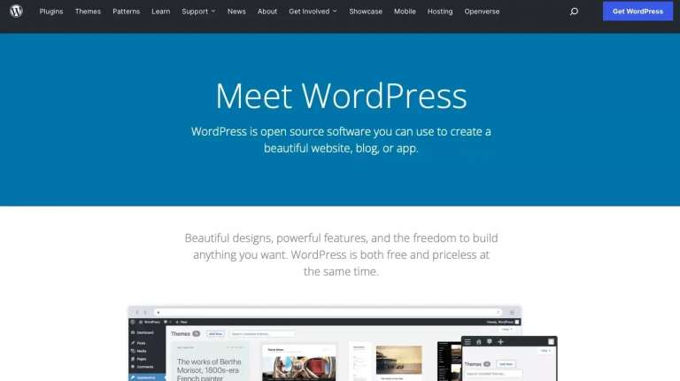 WordPress Website