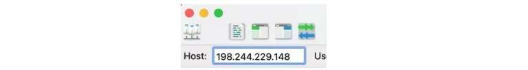 IP Address