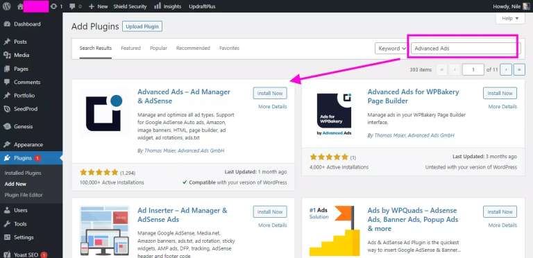 Install and activate Advanced Ads