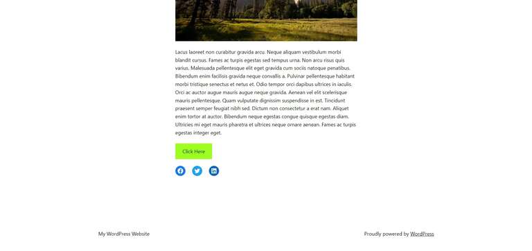Page Layout with image, a paragraph of text, a button, and social media icons