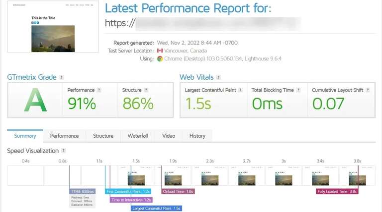 Divi’s Website performance