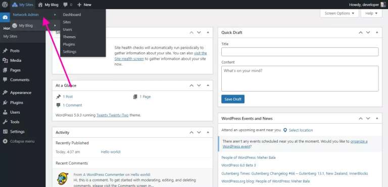 Wordpress multisite network admin
