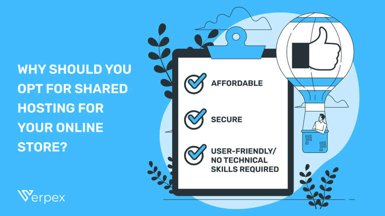 Why Should You Opt for Shared Hosting for Your Online Store