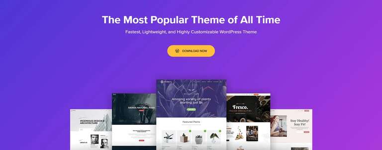 WooCommerce Themes Astra