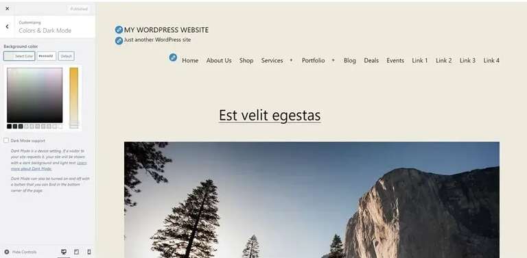color setting in the Theme Customizer