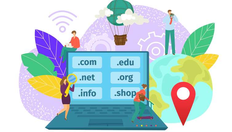 Domain Registration/Renewal