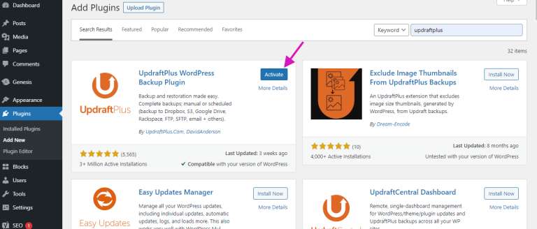Wordpress Admin Plugins Updraftplus Activate