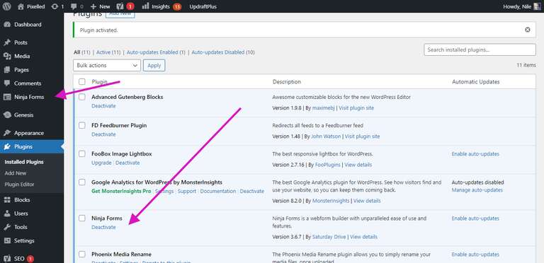 WordPress dashboard Plugin section