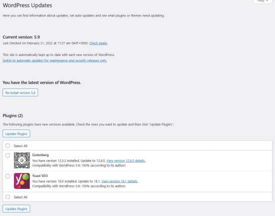 wordpress update page