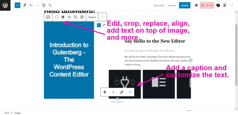 Adding Paragraphs in Gutenberg4