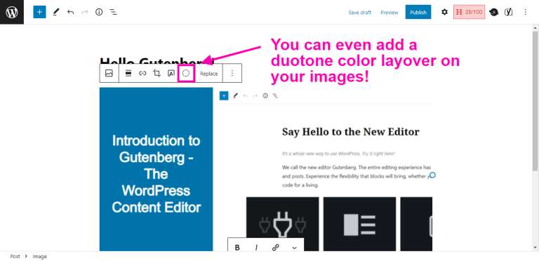 Adding Paragraphs in Gutenberg5