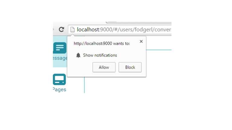 Notifications Prompts in website