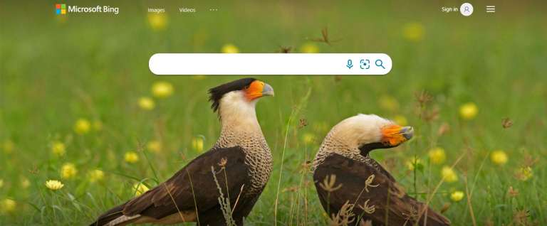 Bing Search Engine