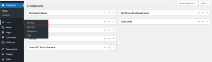 AIOSEO plugin Setting