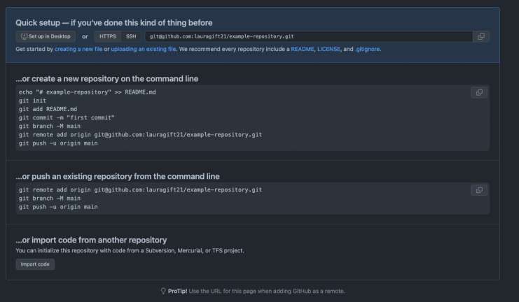 Repository Setup with command line