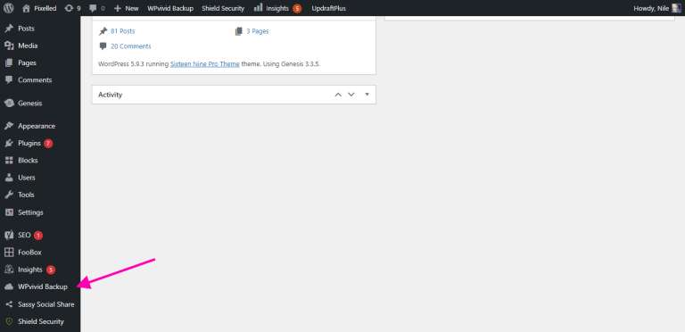 WPVivid Backup in your WordPress admin