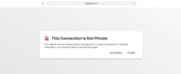 error in Safari