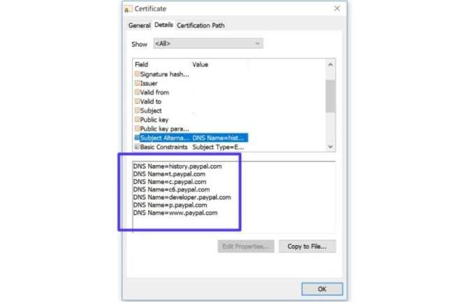 Review subject alternative domains