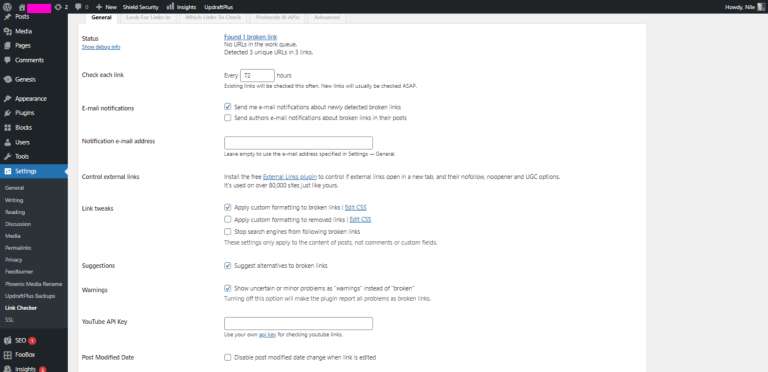 Broken Link Checker Plugin Setting1