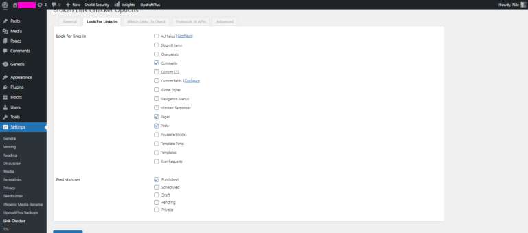 Broken Link Checker Plugin Setting 2