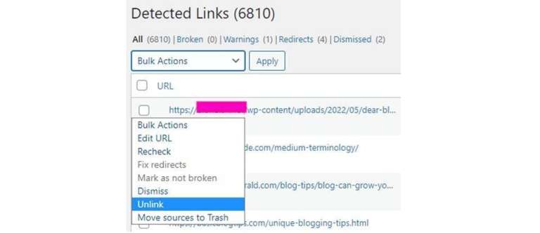 Using the Broken Link Checker plugin