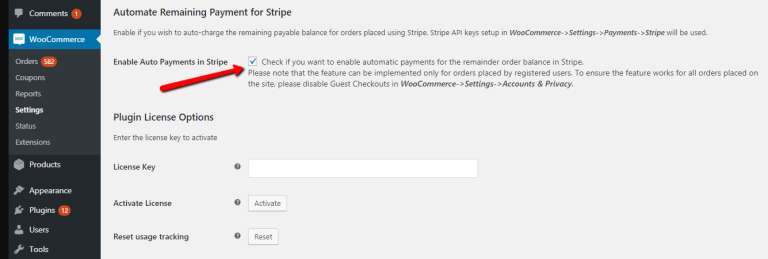 stripe payment option