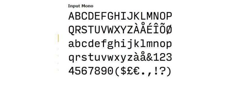 Input Mono
