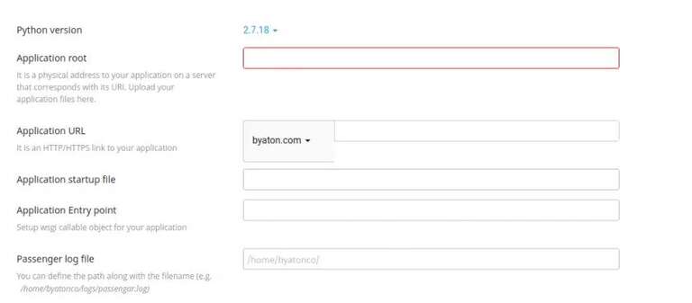 Python Application Form