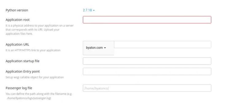 Python Application Form