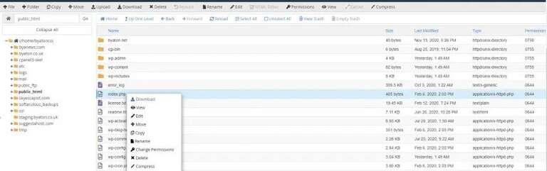 Managing Files in cPanel